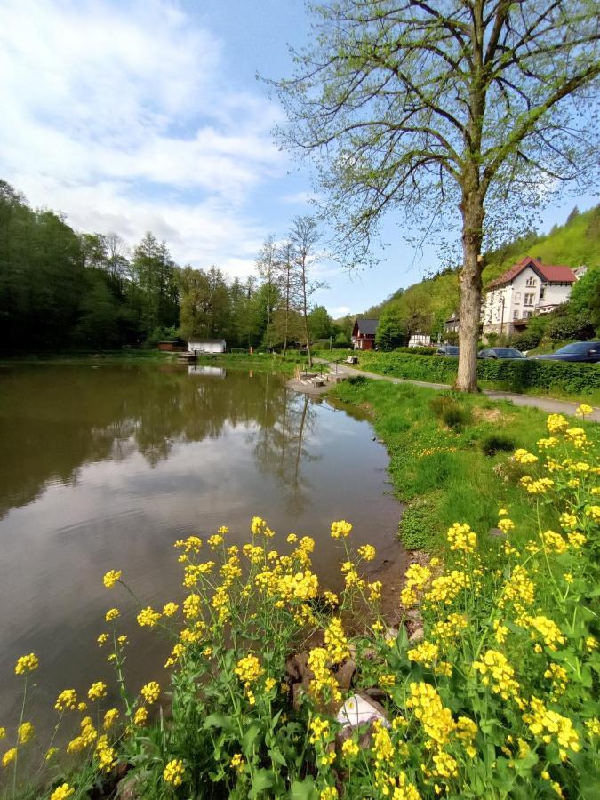 Ferienwohnung Sauerland Burgfenster Lennestadt Eksteriør bilde