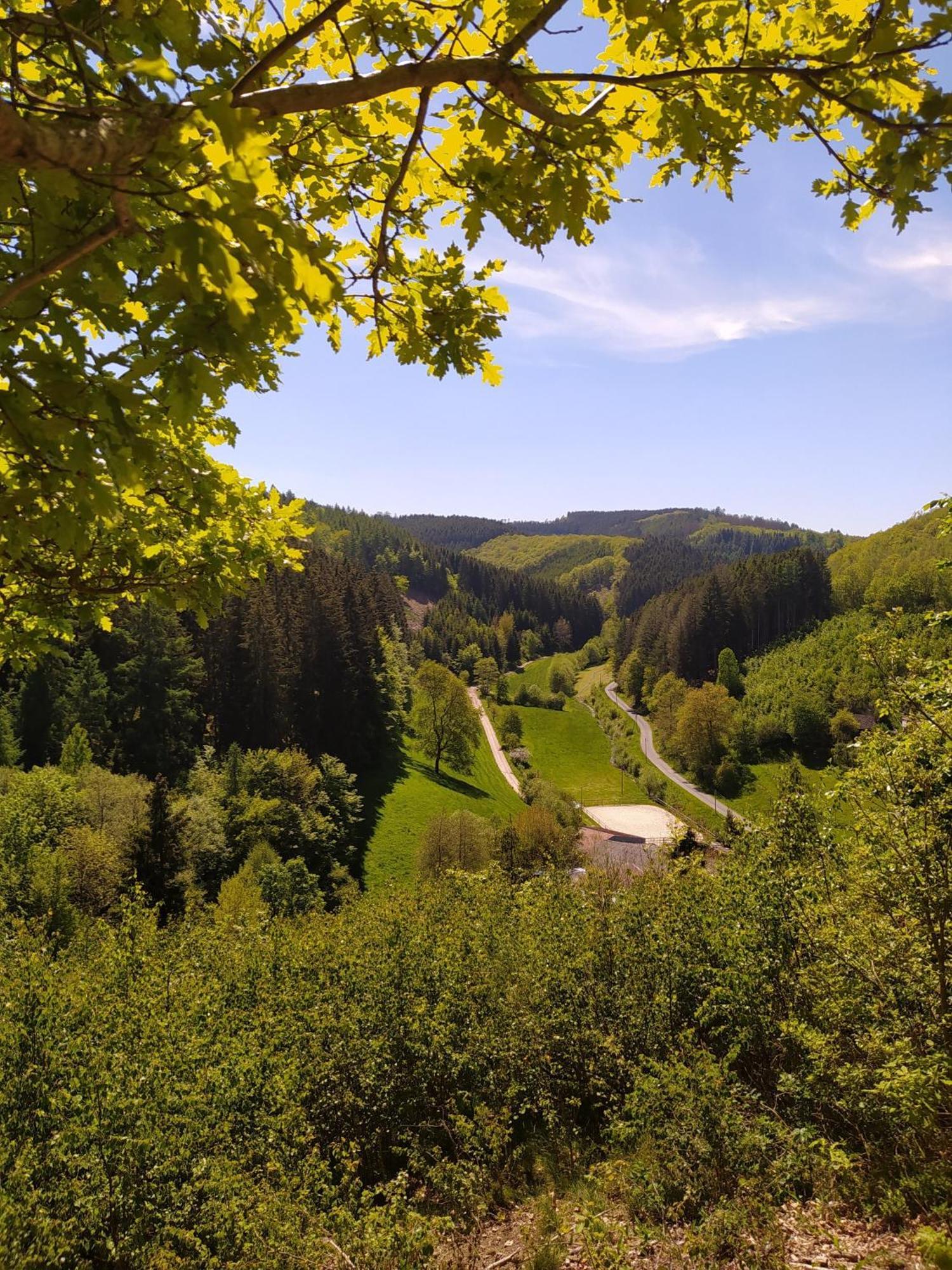 Ferienwohnung Sauerland Burgfenster Lennestadt Eksteriør bilde